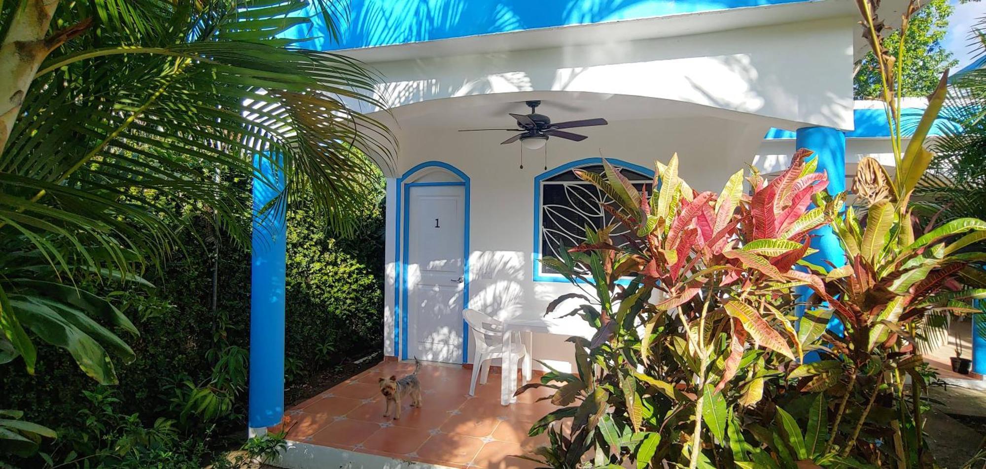 Chambre Bungalow2 Las Terrenas Luaran gambar